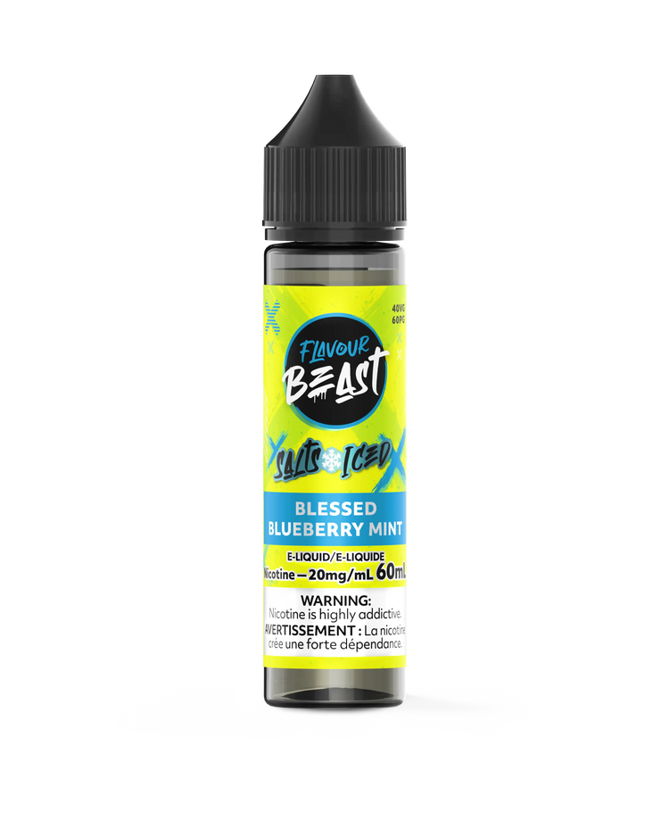Blessed Blueberry Mint Iced by Flavour Beast Salt
