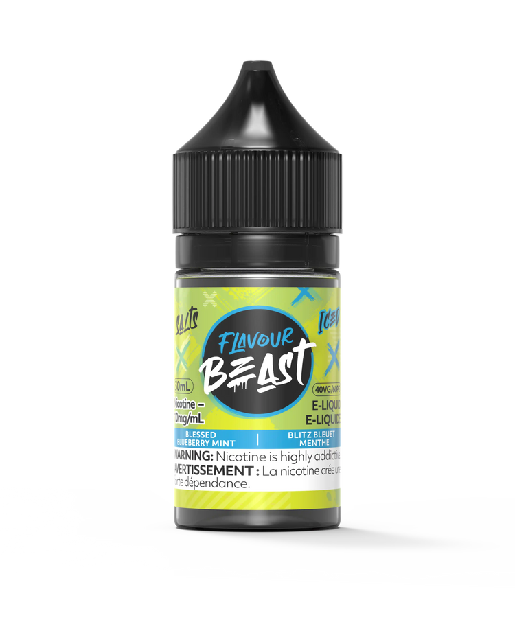 Blessed Blueberry Mint Iced by Flavour Beast Salt
