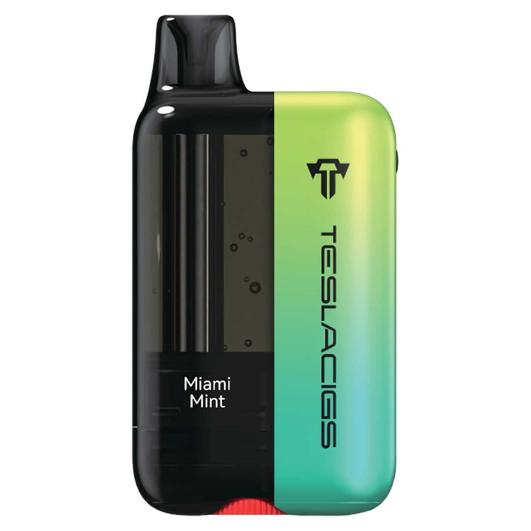 Miami Mint Teslacigs XT - Disposable 25K by TESLACIGS