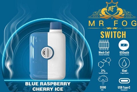 Mr Fog - Switch Disposable E-Cig (5500 Puffs) (FEDERAL)