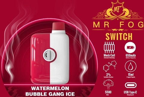 Mr Fog - Switch Disposable E-Cig (5500 Puffs) (FEDERAL)
